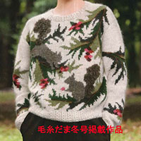 (Tokai)squirrel Sweater Kit