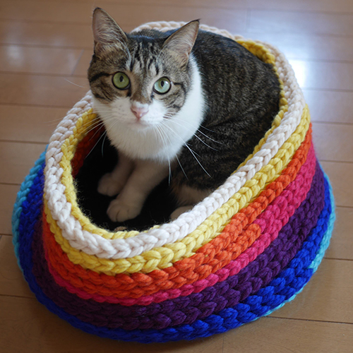 Cat House Rainbow Kit
