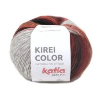 KIREI COLOR（ﾗｲﾄｸﾞﾚｰ×赤系の多色ﾐｯｸｽ） COL-306